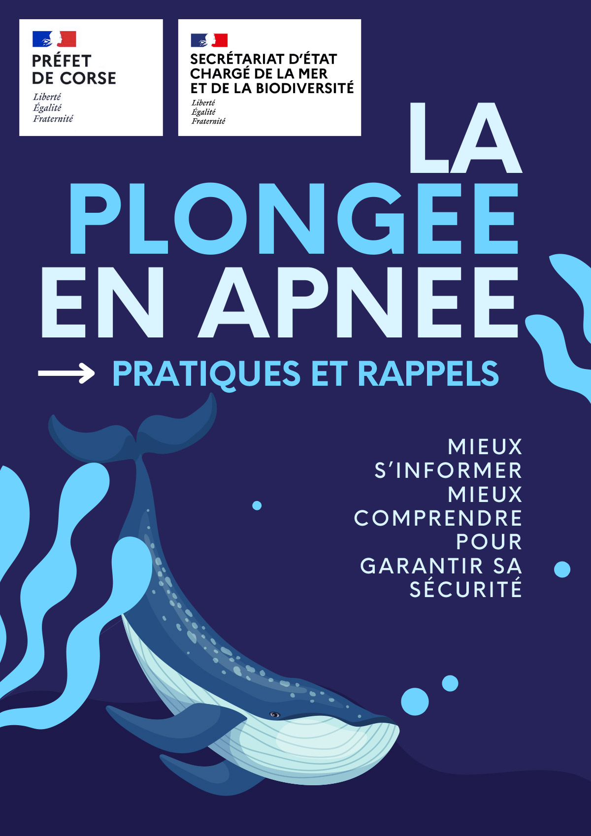 Ce guide présente les règles de base à connaître pour pratiquer la plongée en apnée en toute sécurité.